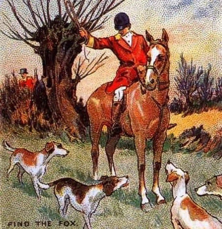 Find the fox — it’s almost impossible!
