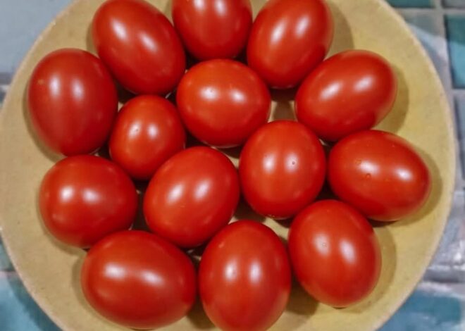 Eye Test: Count The Tomatoes.