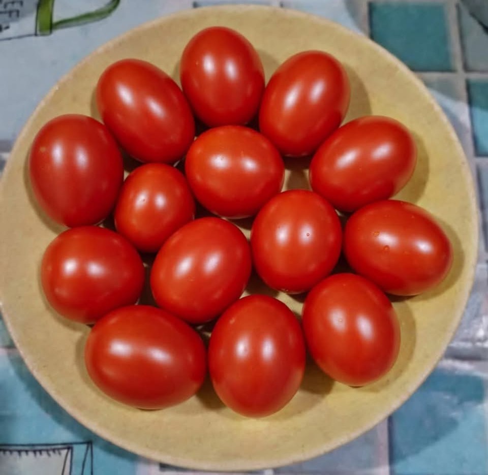 Eye Test: Count The Tomatoes.