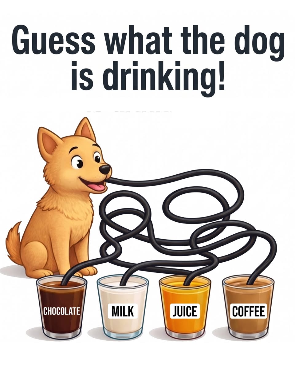 Guess what the dog is drinking!