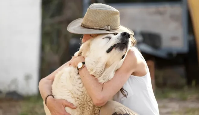 My Neighbor Stole My Dog, Lied to My Face, and Thought I’d Let It Go
