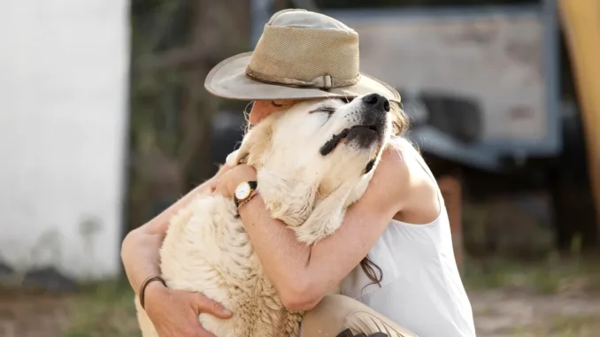 My Neighbor Stole My Dog, Lied to My Face, and Thought I’d Let It Go