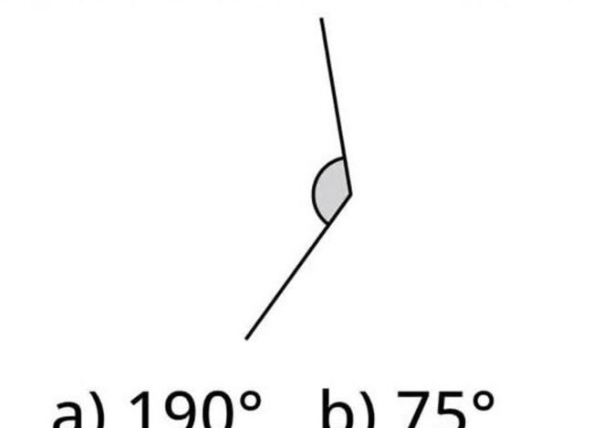 Can You Estimate This Angle Correctly?