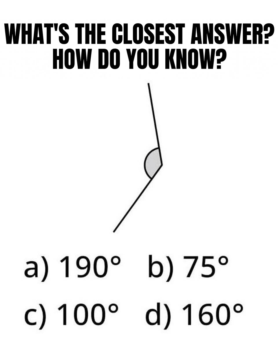 Can You Estimate This Angle Correctly?