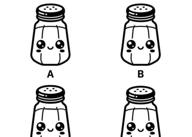Which Salt Shaker Is Different?