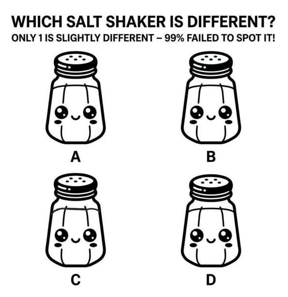 Which Salt Shaker Is Different?