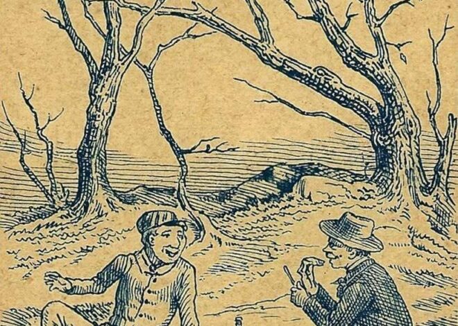 Hidden Pig Puzzle