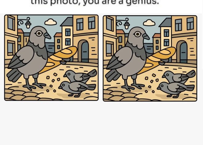 Pigeons and Baguette Challenge: Find 3 Differences.