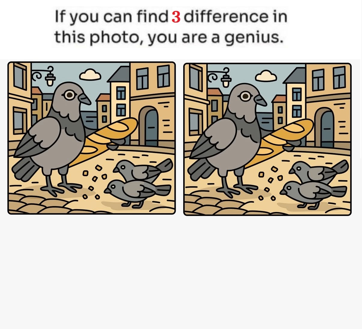 Pigeons and Baguette Challenge: Find 3 Differences.