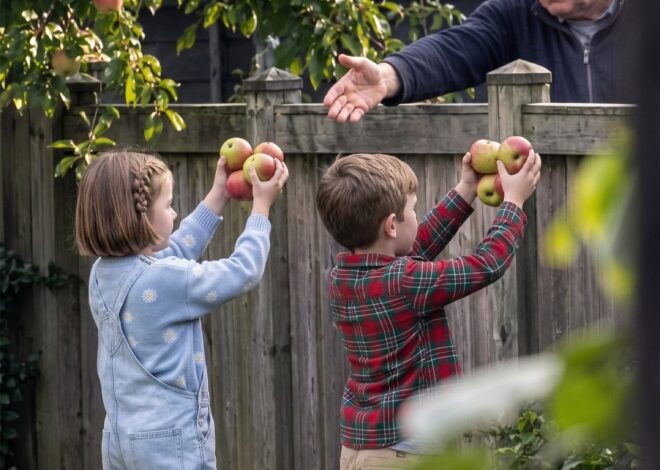 My Neighbor Made My 6-Year-Old Carry Every Fallen Apple to His Fence, Then Smirked, “Raising Thieves Young, Are We?” I Was Ready to Storm at Him, But My Husband Came up with a Plan
