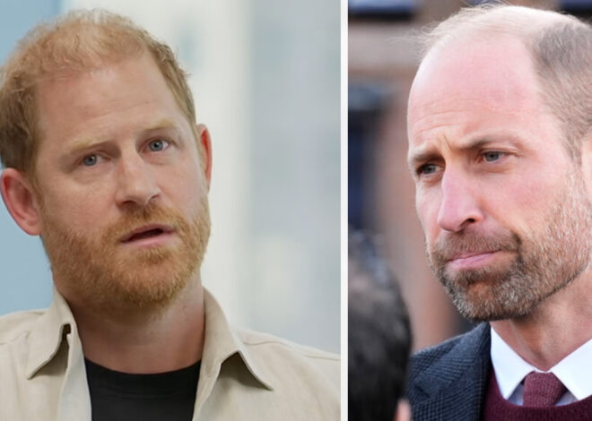 Prince William’s ‘savage response’ to Harry’s public plea to reunite is raising eyebrows